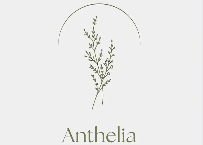 Daire Anthelia Myrties